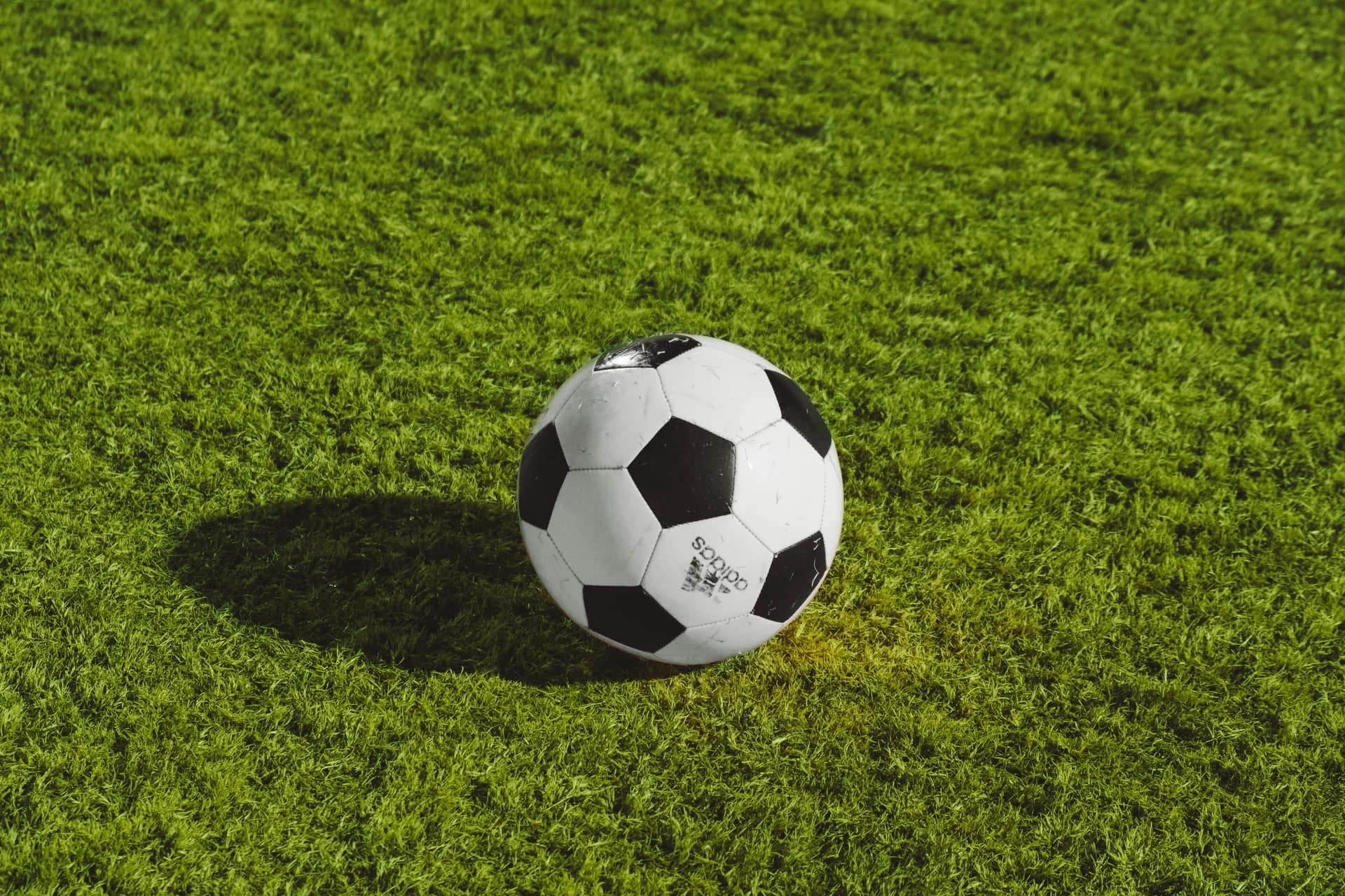 About Elitexbets
